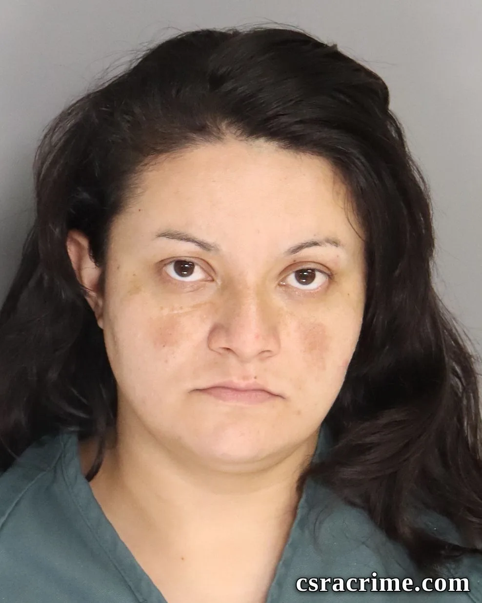 Edis Mejia booking photo