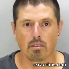 Eduwiges Perez booking photo