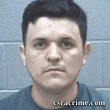 Elder Manferrer-Sequeira booking photo