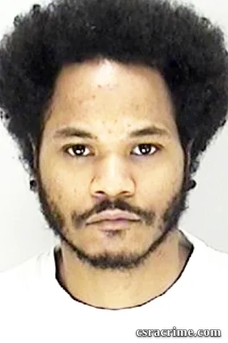 Elijah Gavin booking photo