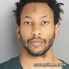 Elisha Johnson booking photo