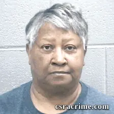 Elizabeth Gibson booking photo