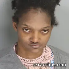 Elizabeth Hammonds booking photo
