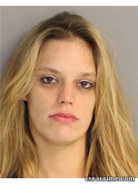 Elizabeth Hill booking photo