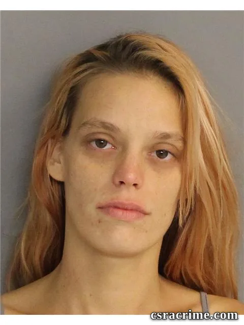 Elizabeth Hill booking photo