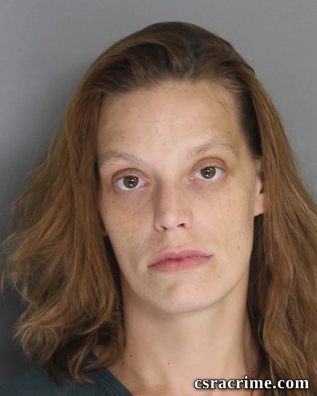 Elizabeth Hill booking photo