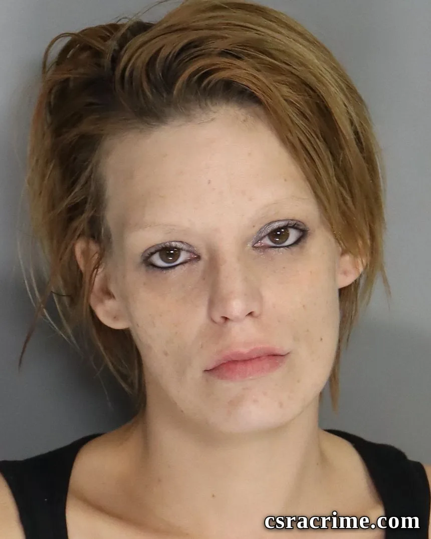 Elizabeth Hill booking photo