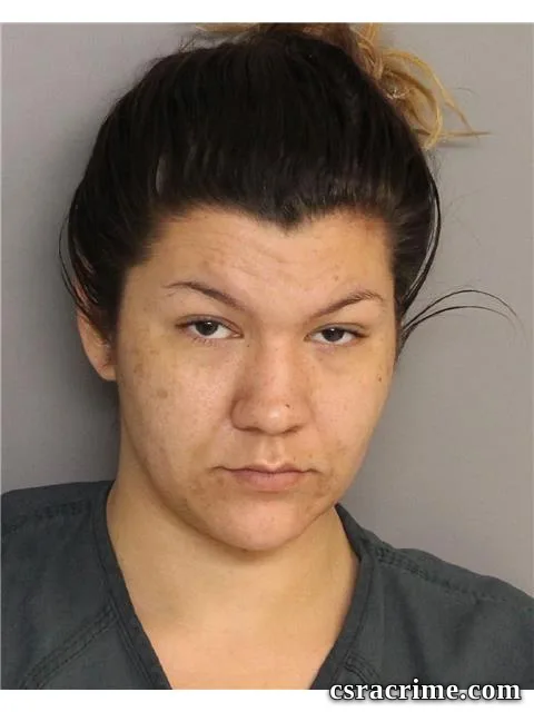Elizabeth Humenanski booking photo