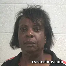 Elizabeth Lee Calhoun booking photo