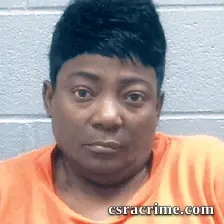 Elizabeth Lovett booking photo