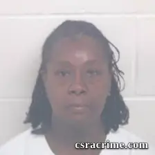 Elizabeth Renee Johnson booking photo