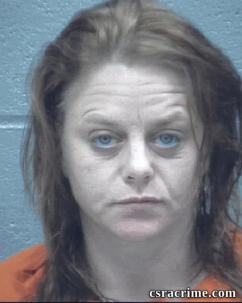 Elizabeth Sechrist booking photo
