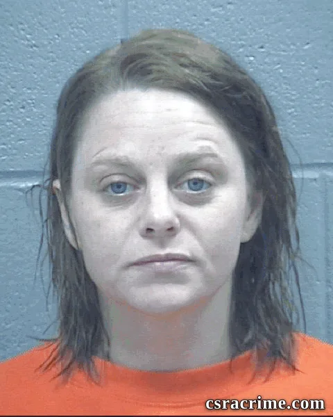 Elizabeth Sechrist booking photo