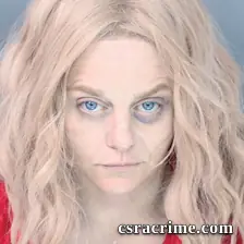 Elizabeth Sechrist booking photo