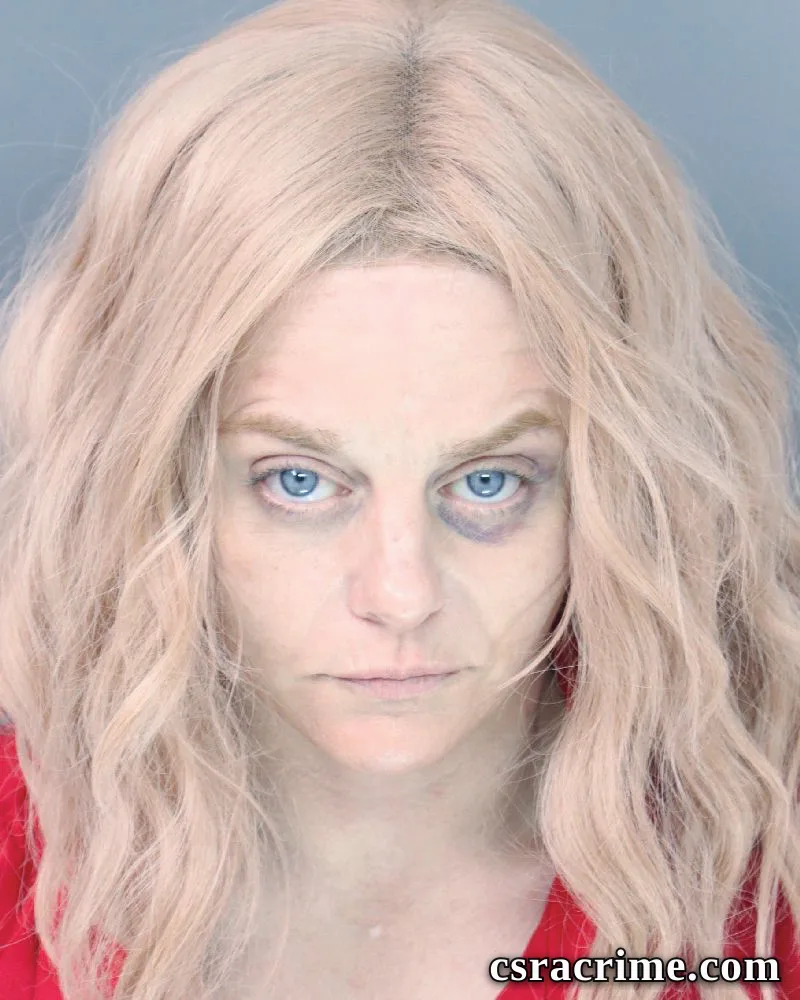 Elizabeth Sechrist booking photo