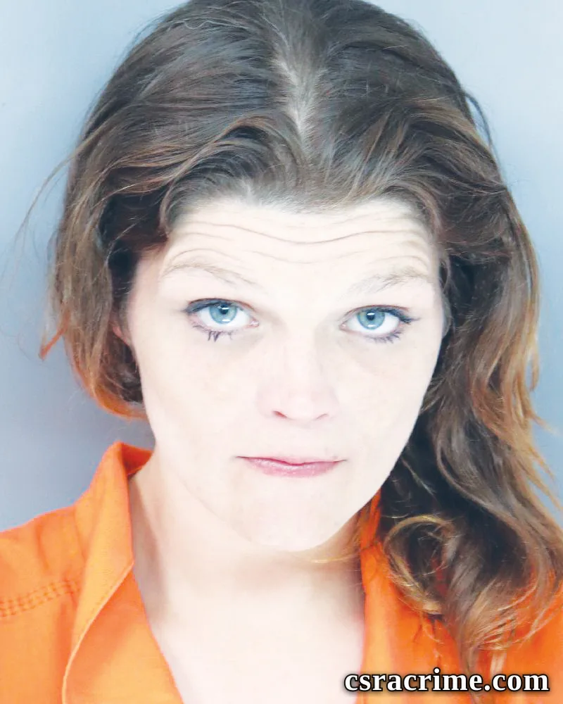 Elizabeth Skipper booking photo