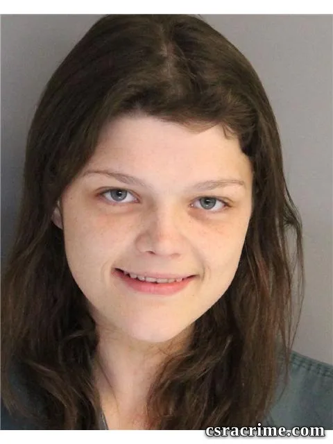 Elizabeth Skipper booking photo
