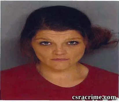 Elizabeth Skipper booking photo