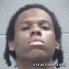 Ellis Williams booking photo