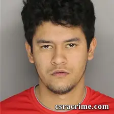 Elvin Irias booking photo