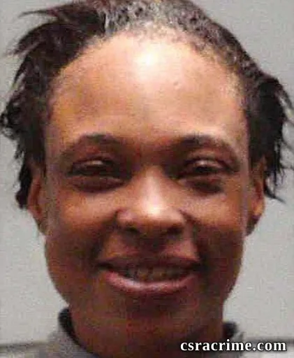 Emily Ann Johnson booking photo