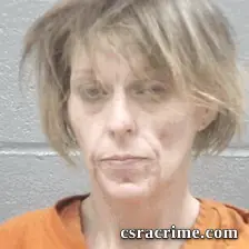 Emily Lake booking photo