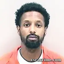 Emmanuel Mcneal JR booking photo