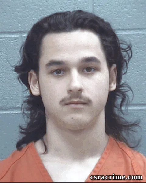 Endre Deak booking photo