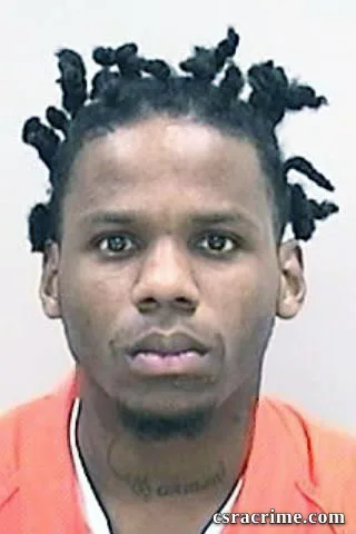 Ephelius Brinson JR booking photo