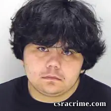 Eric Gamboacarson booking photo