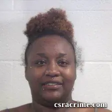 Erica Bouthry booking photo