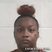 Erica Bouthry booking photo