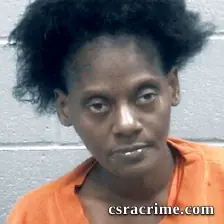Erica Heath booking photo