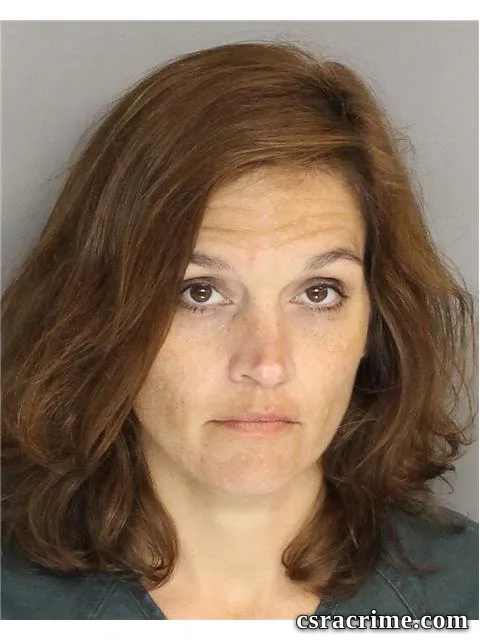 Erica Holsenback booking photo