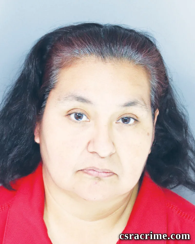 Erica Martinez booking photo
