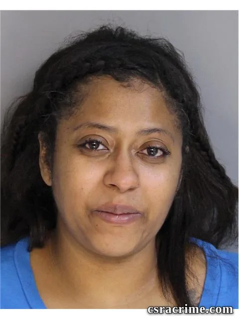 Erica Mitchell booking photo