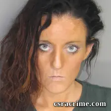 Erica Petersen booking photo