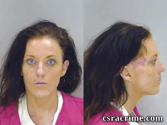 Erica Petersen booking photo