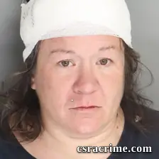 Erica Seemann booking photo