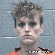 Erica Simmons booking photo