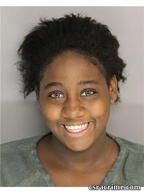 Erica Smith booking photo