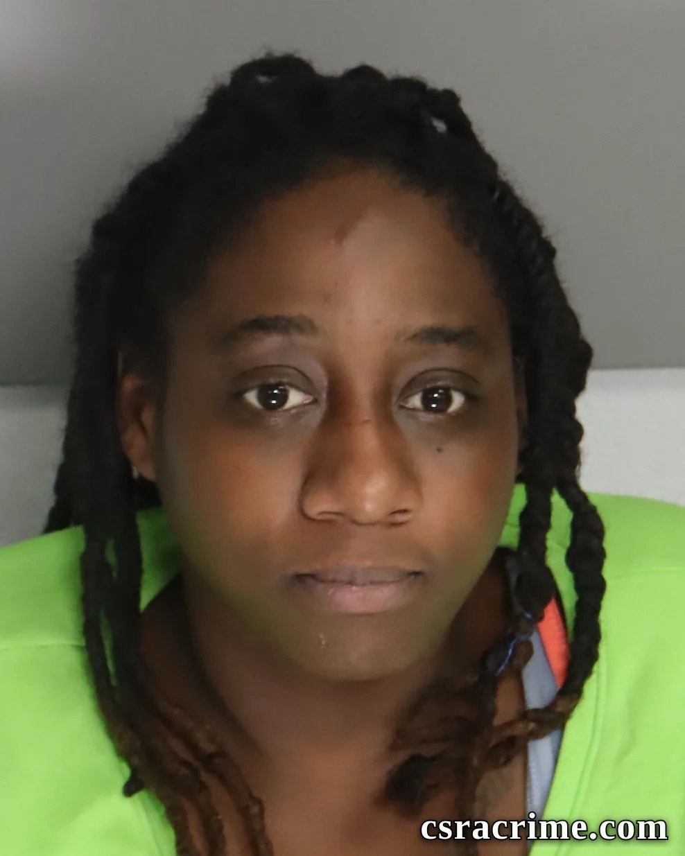 Erica Smith booking photo