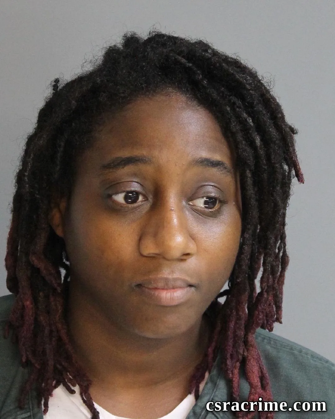 Erica Smith booking photo