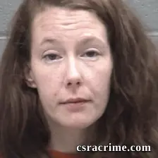 Erika Lee Maciel booking photo