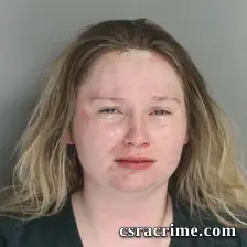 Erika Schwerdtfeger booking photo