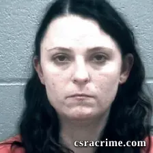 Erin Babcock booking photo