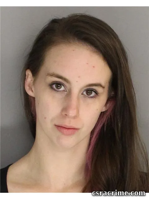 Erin Grandy booking photo