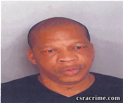 Erin Hines booking photo