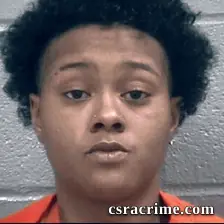 Erin Lawes Williams booking photo