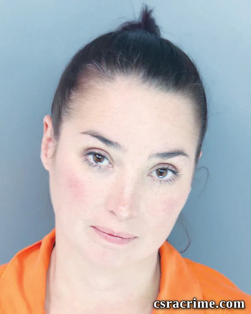 Erin Lewis booking photo